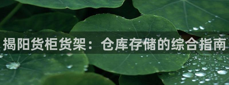 杏运体育平台正规吗安全吗