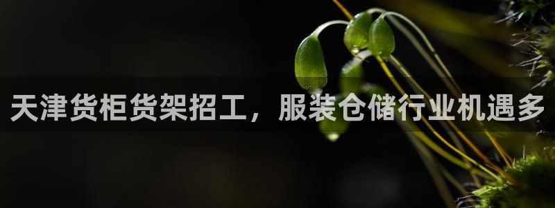 杏运体育官网