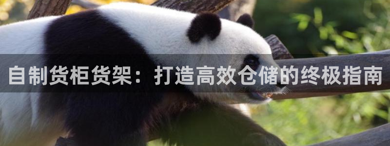 杏运新能源