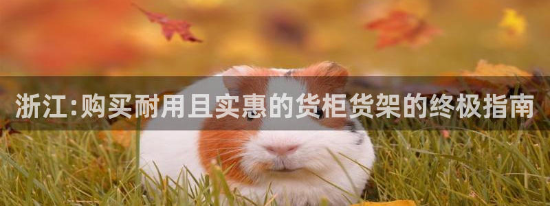 杏运体育平台