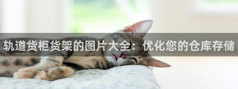 杏运体育app下载安装