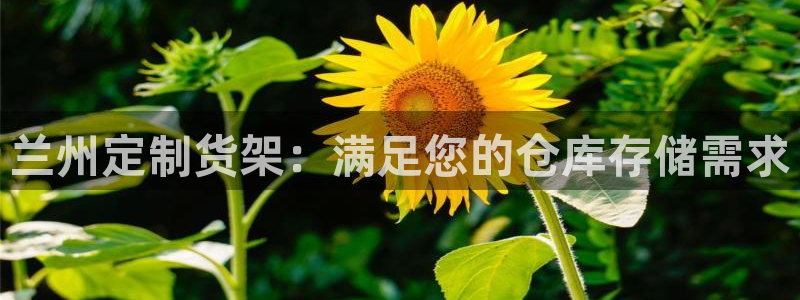 杏运平台招商