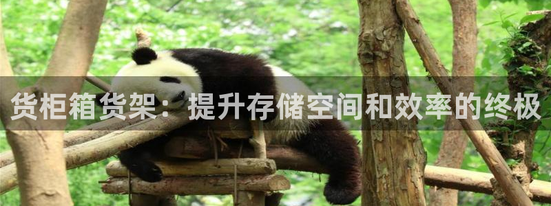 杏运体育注册