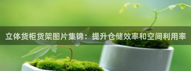 杏运平台官方网站
