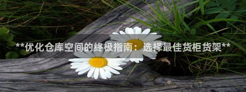 杏运体育登录