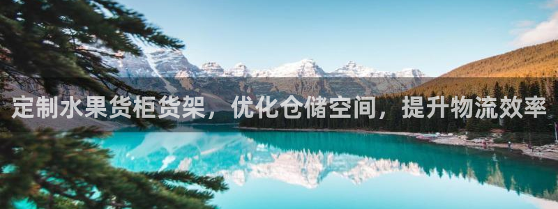 杏运汽车招商