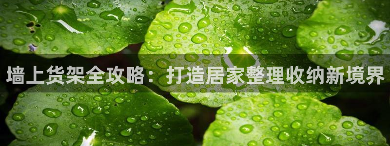 杏运体育网