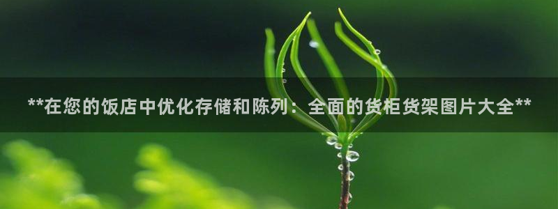 杏运注册登录地址