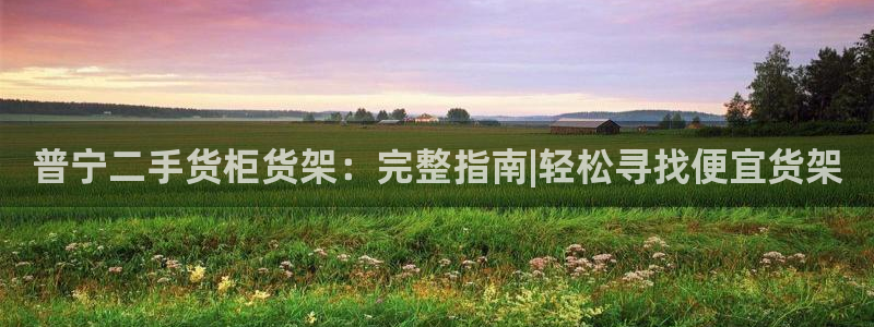 杏运新能源