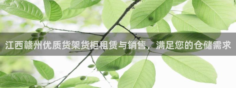 杏运娱乐平台注册地址在哪里