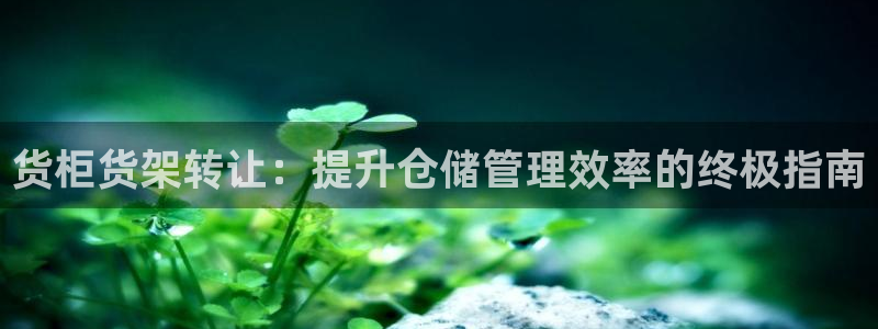 杏运汽车招商