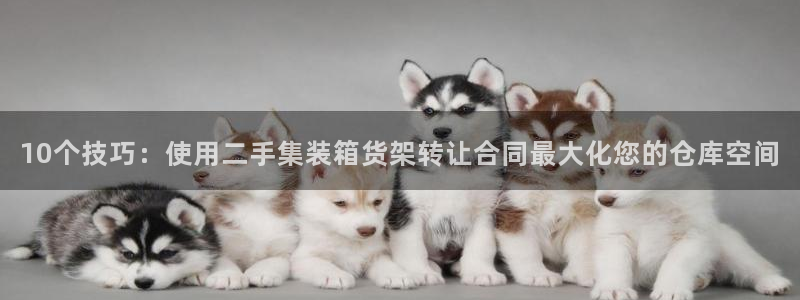杏运平台官方网站