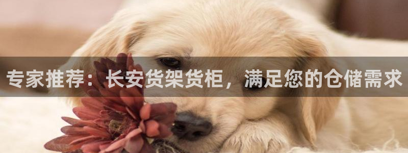 杏运相伴