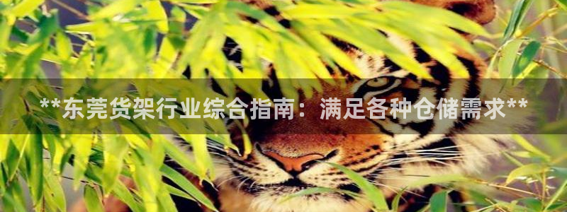 杏运注册登录地址