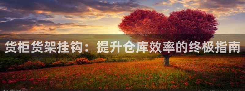 杏运代理