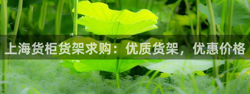 杏运注册登录地址