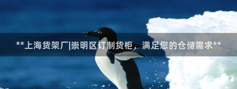 杏运相伴