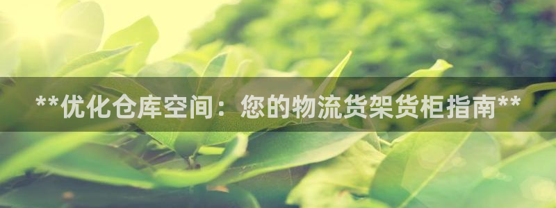杏运平台注册登录：**优化仓库空间：您的