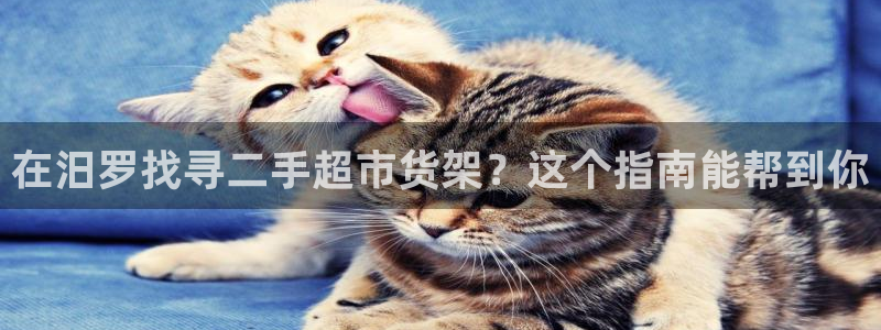 杏运体育官方网址登录