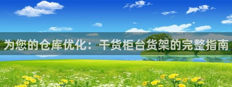 杏运娱乐官网：为您的仓库优化：干货柜台货