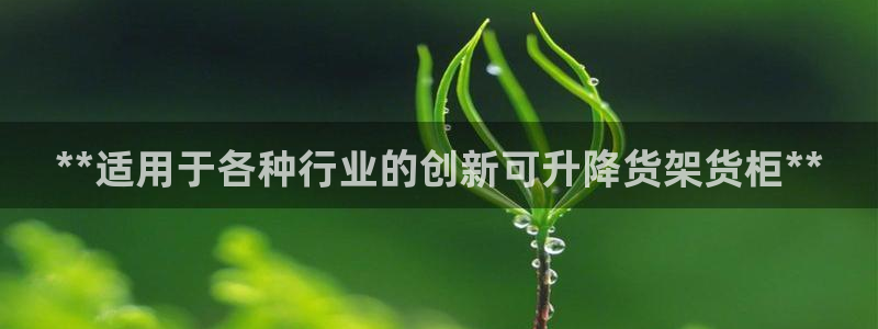 杏运注册登录地址