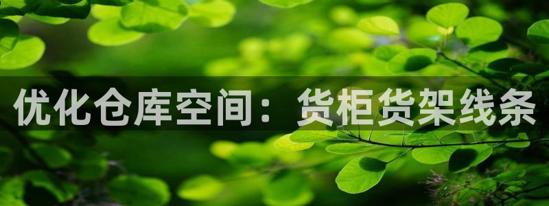 杏运体育官方网址：优化仓库空间：货柜货架