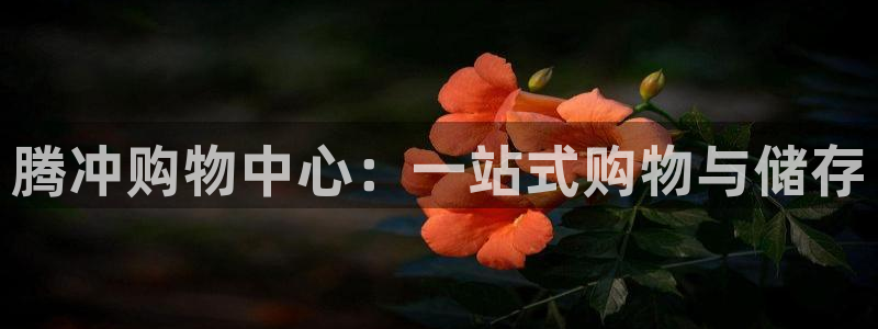 杏运汽车