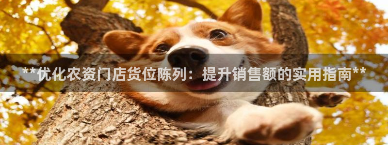 杏运新能源：**优化农资门店货位陈列：提