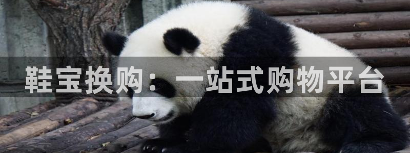 杏运体育app下载安装