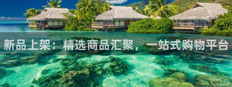 杏运体育怎么样：新品上架：精选商品汇聚，