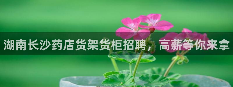 杏运体育官方网址