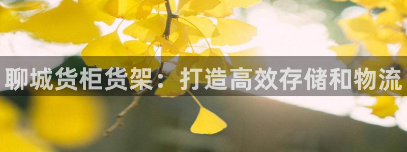 杏运相伴