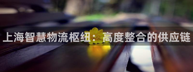 杏运体育官网
