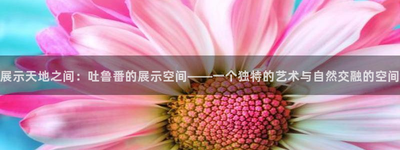 杏运体育app下载安装