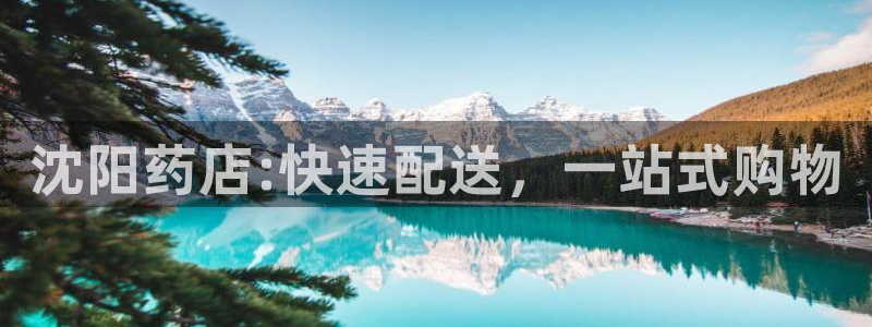 杏运新能源