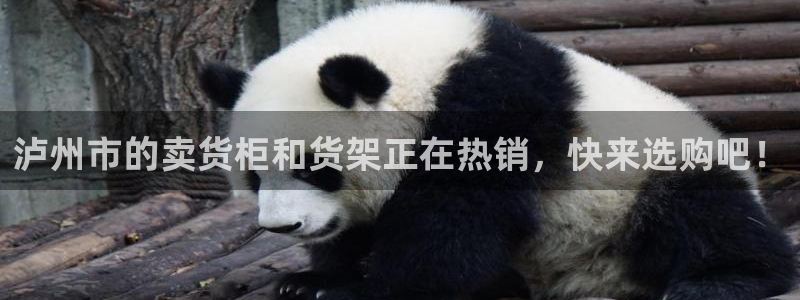 杏运体育官方网址登录