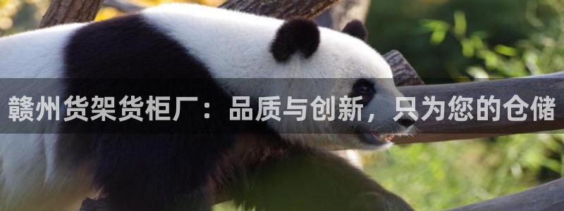 杏运体育