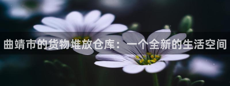 杏运新能源：曲靖市的货物堆放仓库：一个全