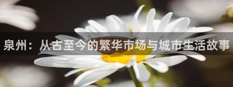 杏运体育：泉州：从古至今的繁华市场与城市