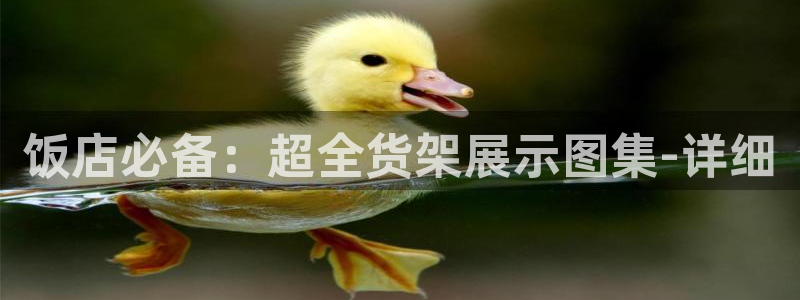 杏运体育注册