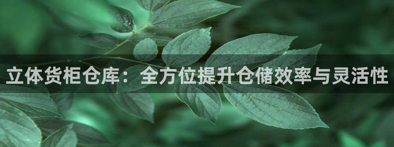 杏运体育怎么样