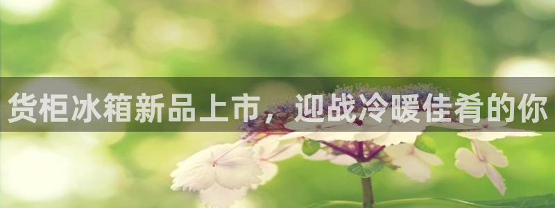杏运体育官方网址