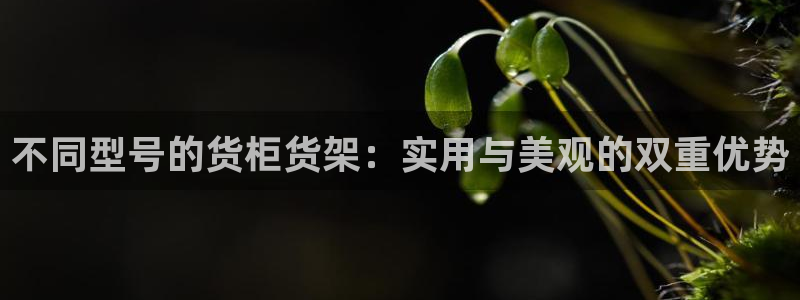 杏运体育平台