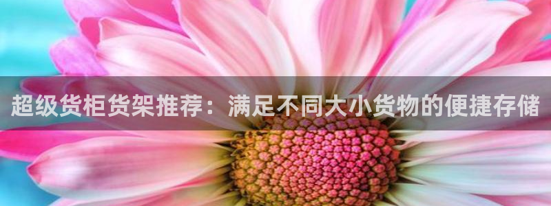 杏运体育官网