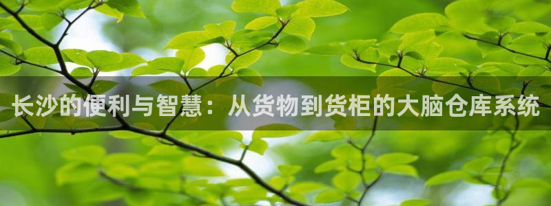 杏运体育平台正规吗安全吗可信吗