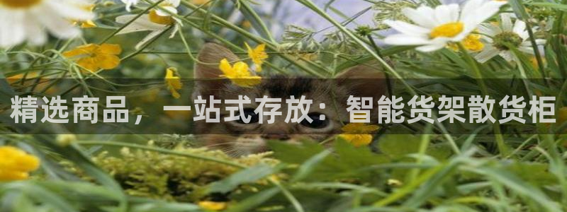 杏运平台招商