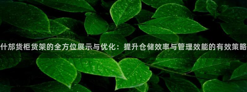 杏运体育官方网址