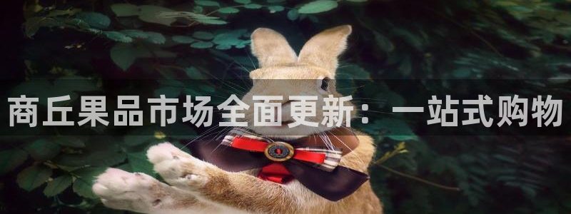 杏运体育注册