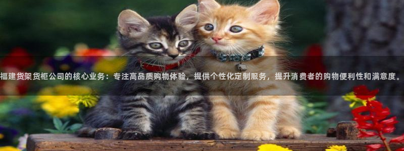 杏运汽车招商
