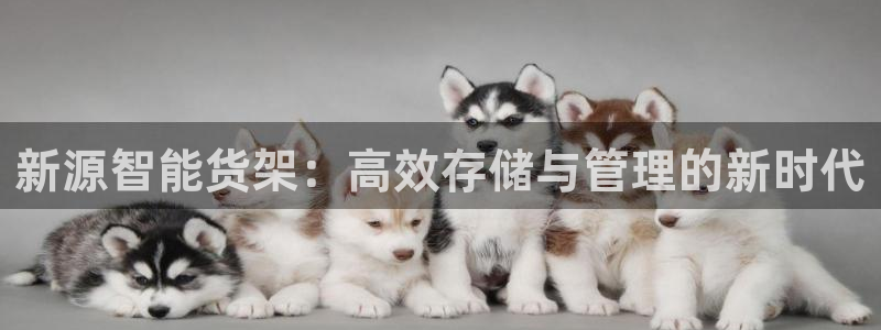杏运平台注册登录